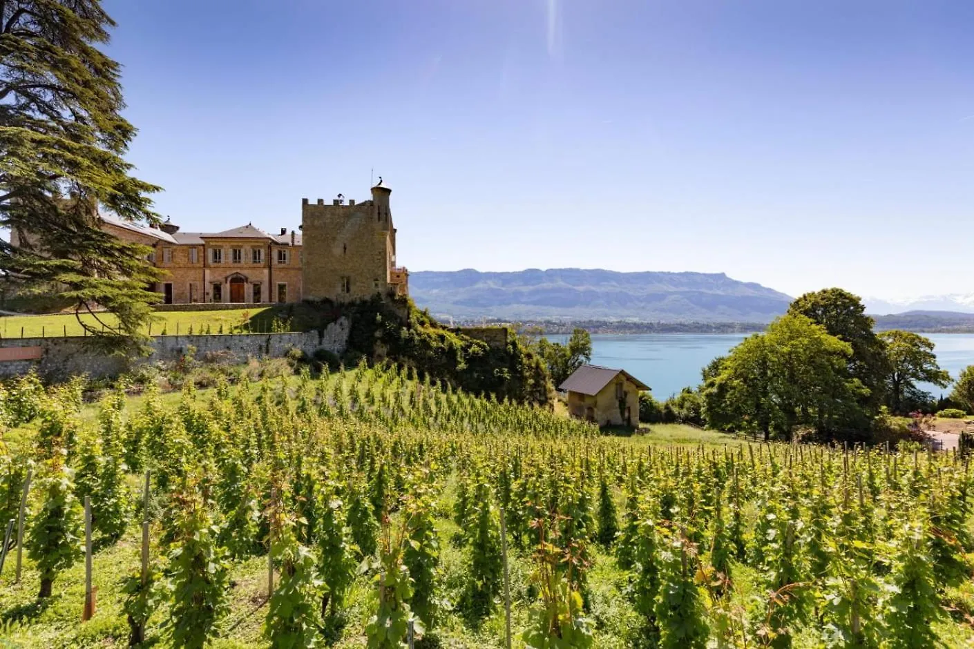 B&B Hotel Aix-Les-Bains Gresy-sur-Aix